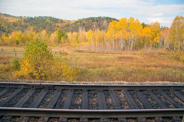 Railway tracks on the background of the autumn forest. Horizontally.
