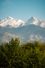 Obraz premium mount hood state