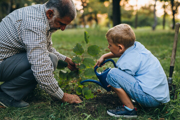 grandfather and grandson planting tree in public park