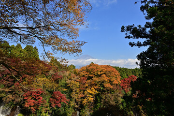 The trees leaves on the mountains were starting to change color.