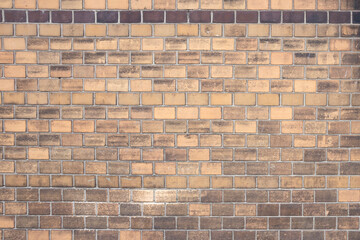 A wall of yellow brick, blackened by the soot of the street and cracked with age.