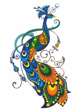 Peacock drawing fantasy. Vector Illustration  of bird
