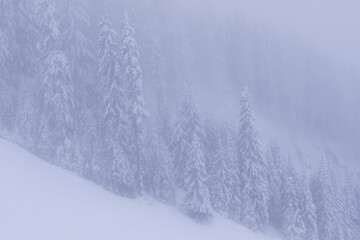 Steep ski slope and pine woodland engulfed in clouds in Austria