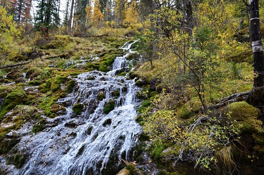 Pictures of a waterfall located in the taiga, in Gorny Altai, Russia.