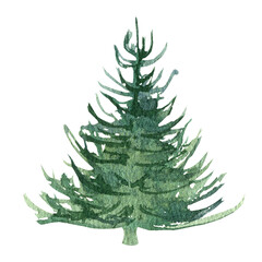 Watercolor Christmas tree isolated on white background. Illustration for your design.