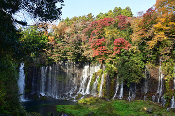 The trees leaves on the mountains were starting to change color.