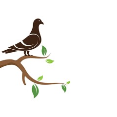 pigeon icon vector illustration design template