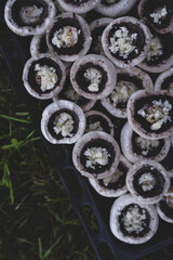 mushrooms stuffed with cheese placed on the tray in the green grass ready to put on the grill