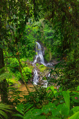 Waterfall landscape. Beautiful hidden Pengibul waterfall in rainforest. Tropical scenery. Slow shutter speed, motion photography. Nature background. Bali, Indonesia