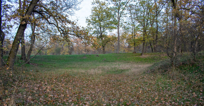 Different colors at sunset in autumn