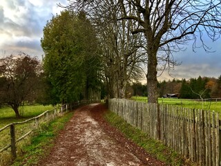 Aufstieg zur Ilkahöhe bei Tutzing (Bayern)