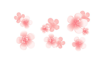 Flying pink peach flowers isolated on white background. Apple-tree flowers. Cherry blossom. Border. Horizontal. Vector