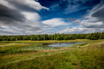 Nature Reserve Country Park
