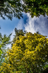 Nature Reserve Country Park