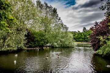 Nature Reserve Country Park