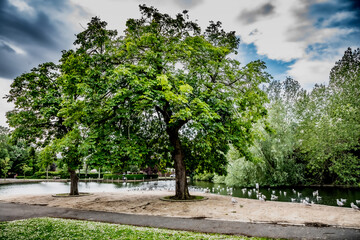 Nature Reserve Country Park
