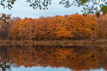 autumn park near lake