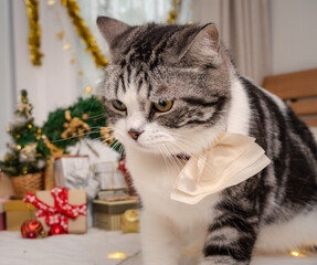 Cute tabby cat with Christmas ornaments on white bed in bedroom interior