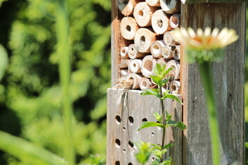 Bewohntes Insektenhotel