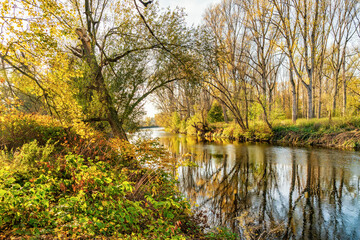 Sieg im Bereich der Siegaue bei Bonn
