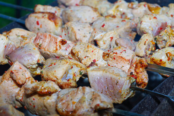 Pork barbecue on a picnic