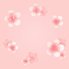 Flying flowers isolated on light peach pink background. Apple-tree flowers. Cherry blossom. Border. Vector