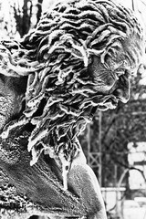 Neptun © helmut Schmidt