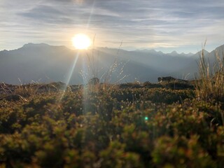 sunrise over the mountains