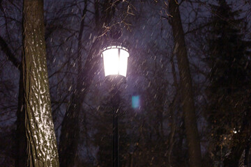 Lantern shines lonely in the winter garden