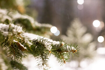 The first snow fell to the ground