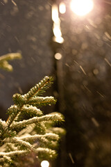 The first snow fell to the ground