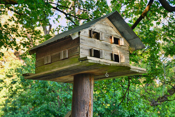 Ein Vogelhaus auf dem Baumstamm, im Frühling können Sie Vögel singen hören und sich entspannen
