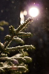 The first snow fell to the ground