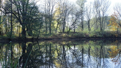 Obraz premium morning on the river