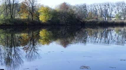 reflection in the water