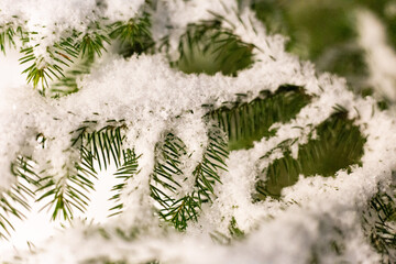 The first snow fell to the ground