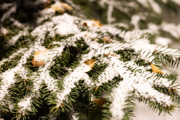 The first snow fell to the ground
