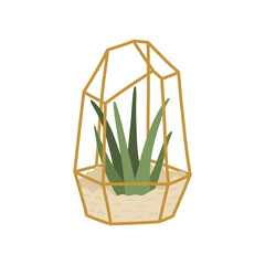 Succulent in golden geometric terrarium, stylish hand drawn home plant in flat doodle style, Scandinavian interior decor. Mexican colorful cactus. Vector illustration isolated on white background. 