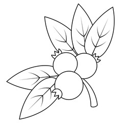 Lingonberry. A sprig of juicy berries. Vector illustration. Outline on an isolated white background. Doodle style. Sketch. Coloring book for children. Gathering the summer harvest. Seasonal product. 