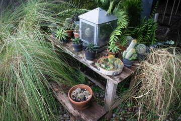 Green plant pots in the garden