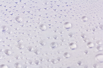 Water drops texture background. Water drops. Gray. Selective focus.