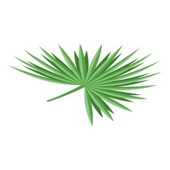 Palm tree leaf icon. Isometric of palm tree leaf vector icon for web design isolated on white background