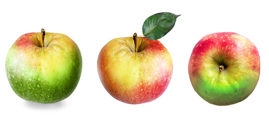 Color apples on white background