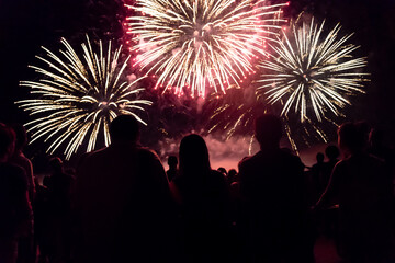 Fototapeta na wymiar New year concept - cheering crowd and fireworks
