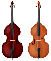Obraz na płótnie Canvas Classic double bass in two color schemes. Vector illustration. 