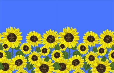 Seamless border with yellow sunflowers and green leaves for fashion design, textile, wrapping paper, package wallpaper, bag print on the blue background