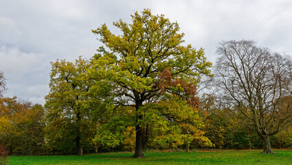 Bois de Vincennes during fall season