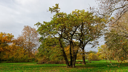 Bois de Vincennes during fall season