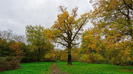 Bois de Vincennes during fall season