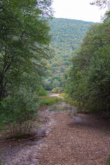 Obraz premium Reservoir in Vrelo Bosne Park in Sarajevo in autumn. Bosnia and Herzegovina